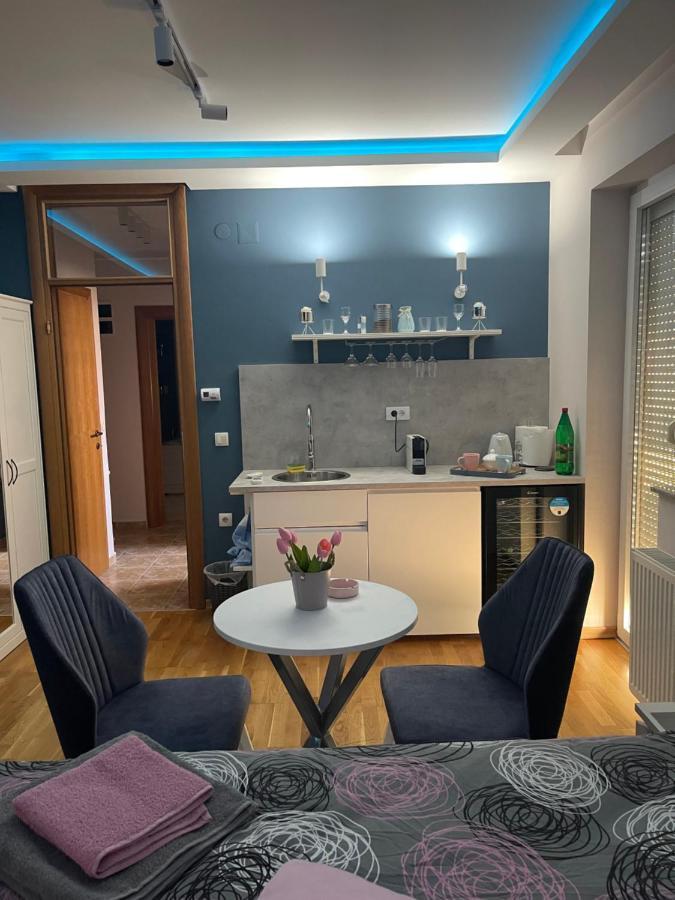 Apartman Spa Backa Lejlighed Bačka Palanka Eksteriør billede