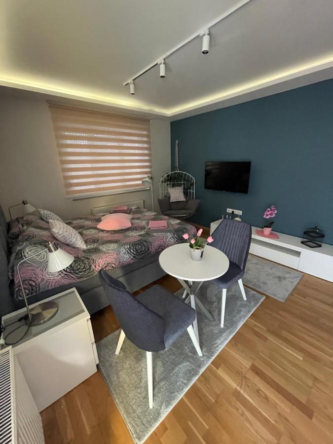 Apartman Spa Backa Lejlighed Bačka Palanka Eksteriør billede